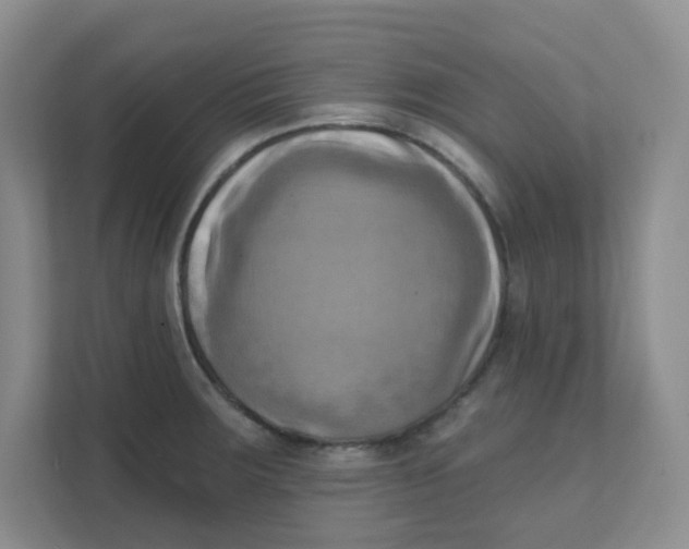 X0000111361283200907311005