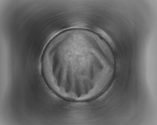 X0000111361284200907311005