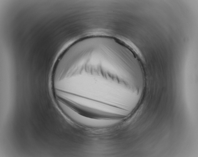 X0000111361285200907311005