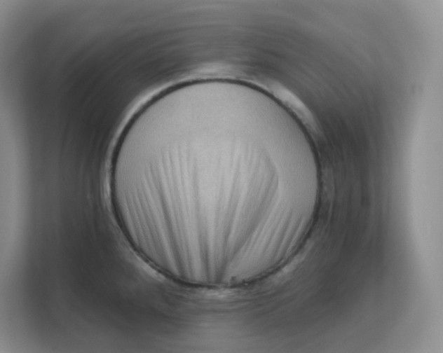 X0000111361288200907311005