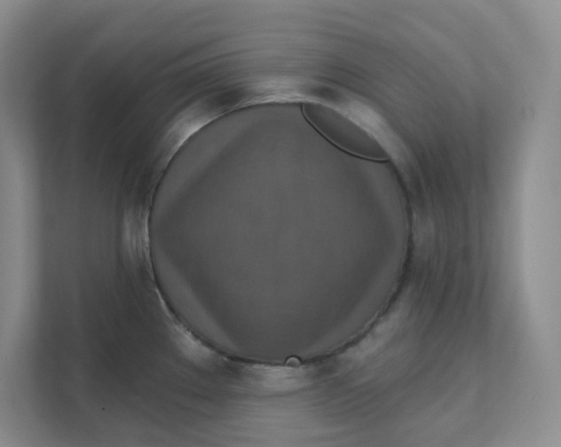 X0000111361289200907311005