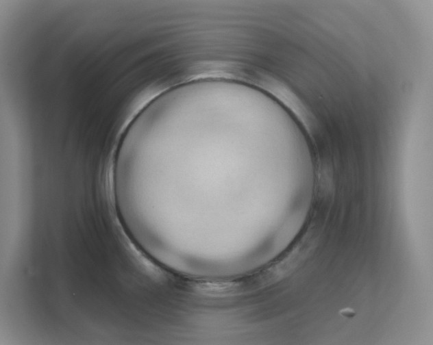 X0000111361290200907311005