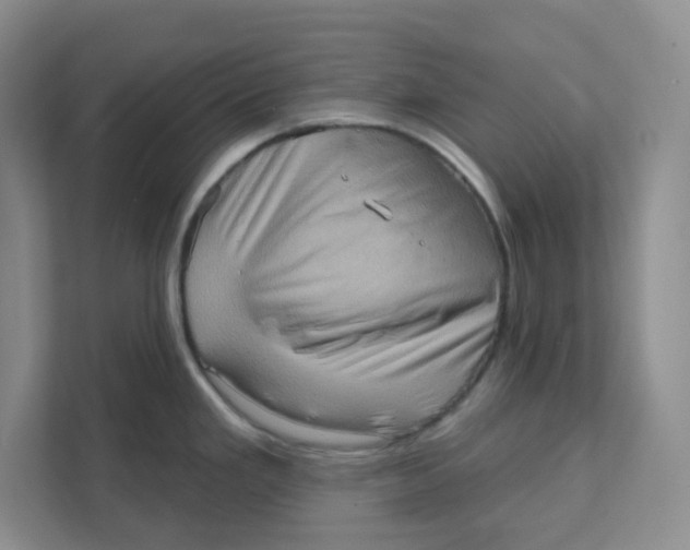 X0000111361293200907311005
