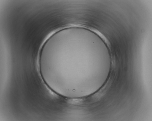 X0000111361294200907311005