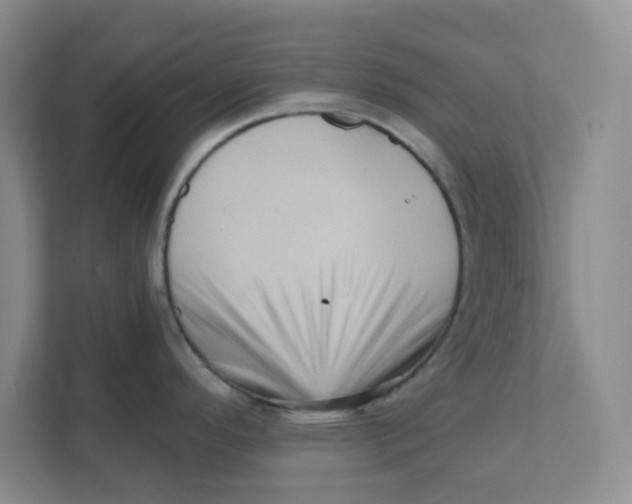 X0000111361296200907311005