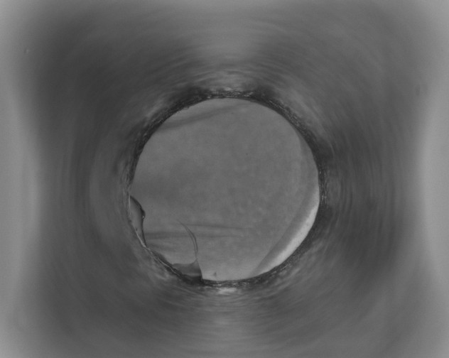 X0000111361297200907311004