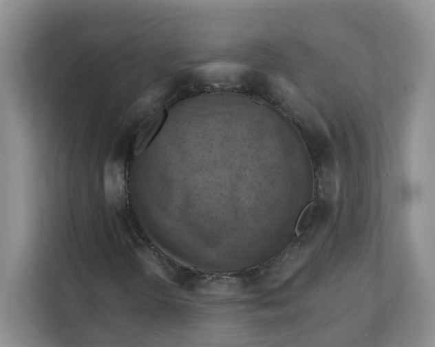 X0000111361298200907311004