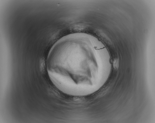 X0000111361299200907311004
