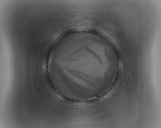X0000111361300200907311004