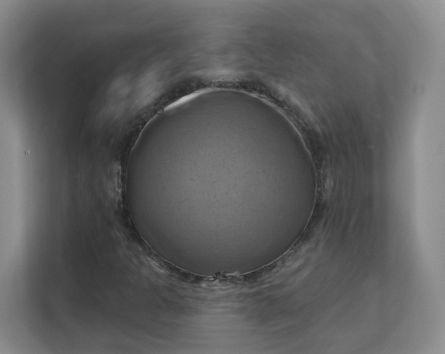 X0000111361301200907311004