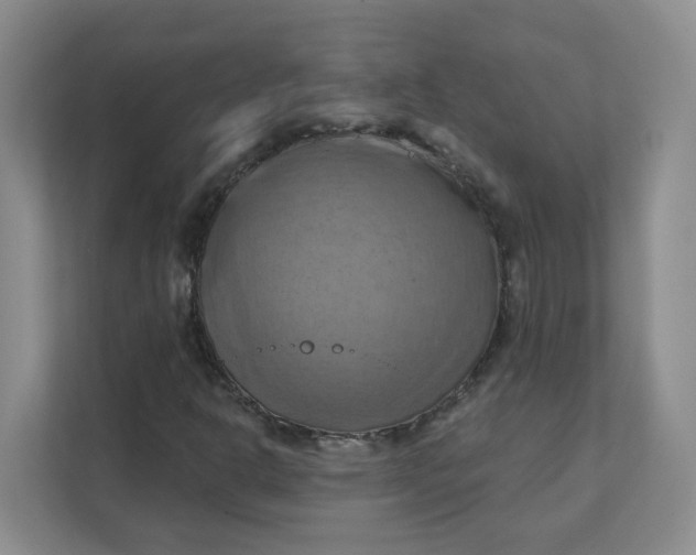 X0000111361302200907311004