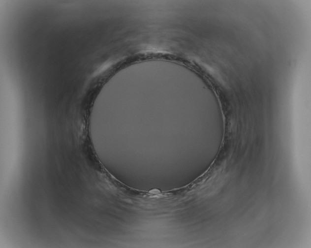 X0000111361303200907311004