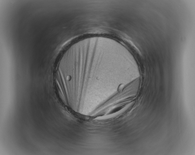 X0000111361304200907311004