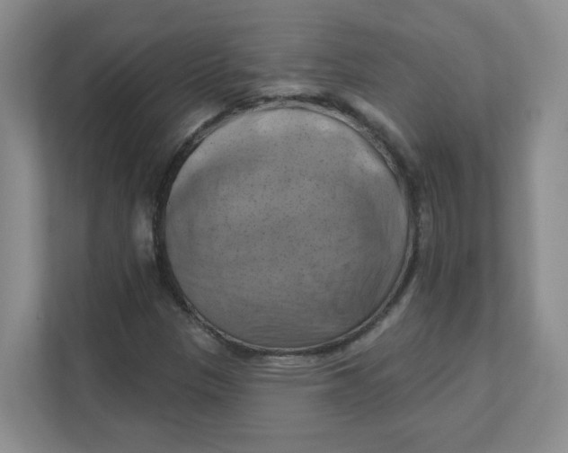 X0000111361305200907311004