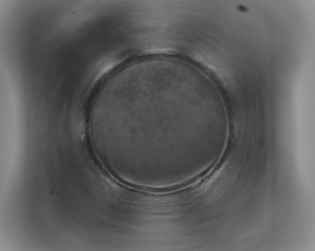 X0000111361306200907311004