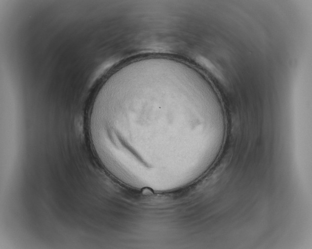 X0000111361307200907311004