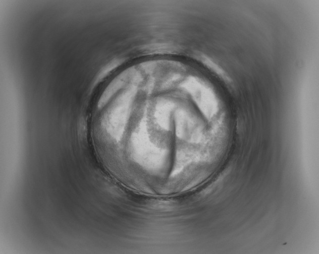 X0000111361309200907311004