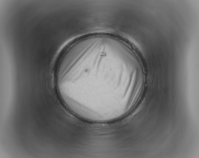 X0000111361310200907311004