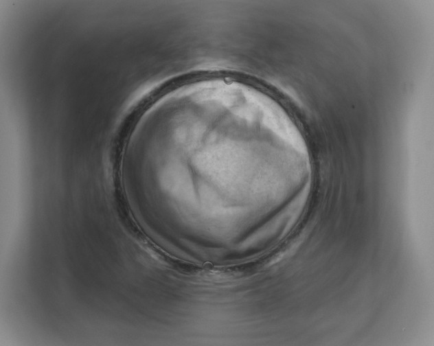 X0000111361311200907311004