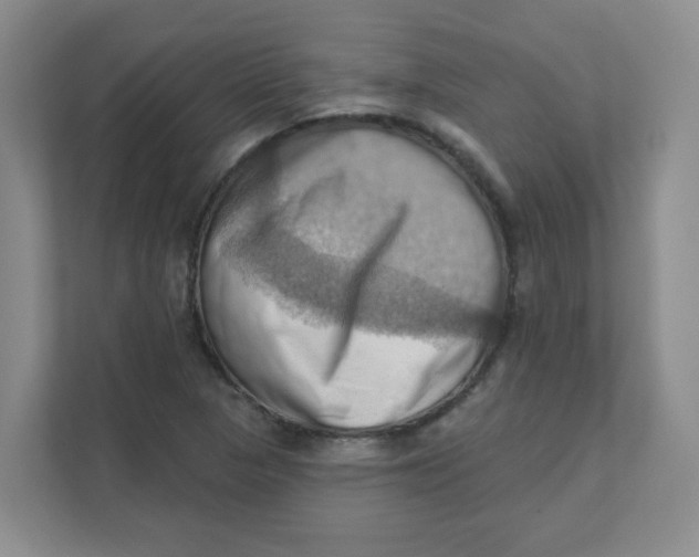 X0000111361313200907311004