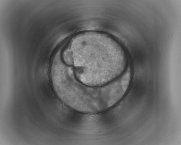 X0000111361314200907311004