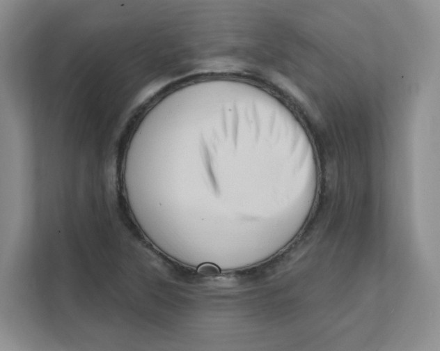X0000111361315200907311004