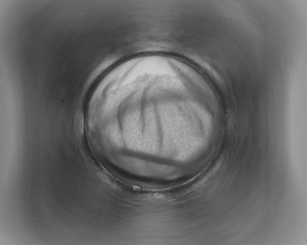 X0000111361317200907311004