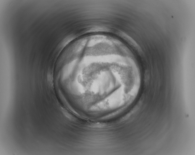 X0000111361321200907311004