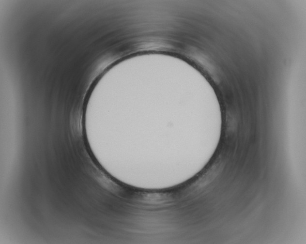 X0000111361322200907311004