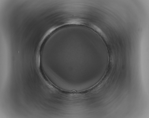 X0000111361323200907311004
