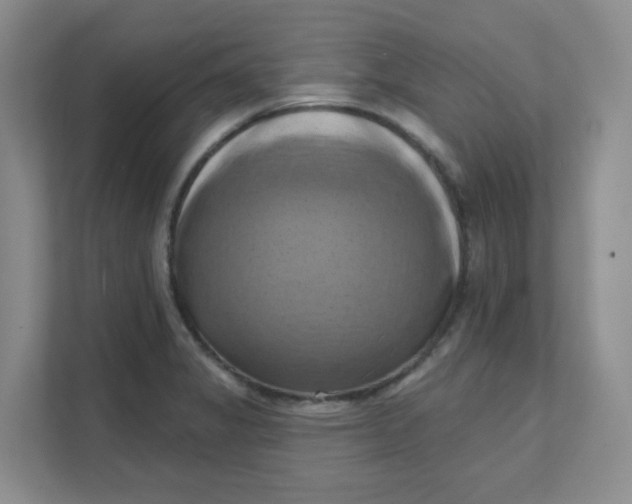 X0000111361325200907311004