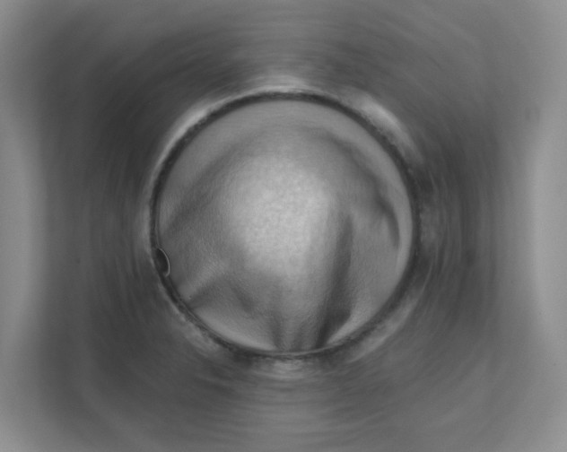 X0000111361326200907311004