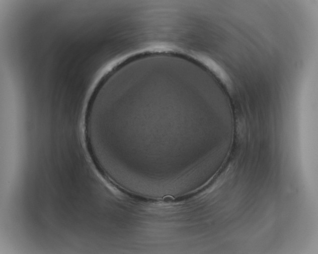 X0000111361327200907311004