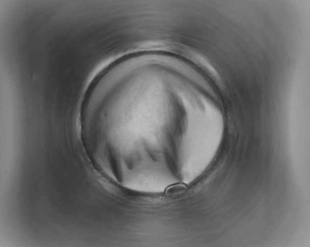 X0000111361328200907311004