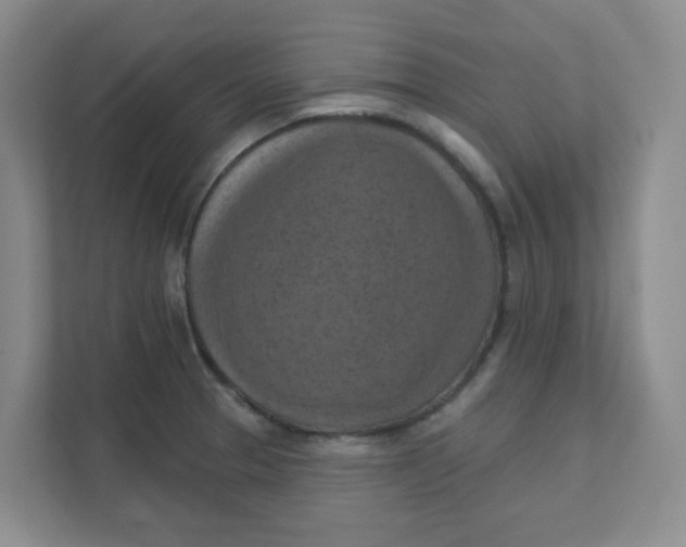 X0000111361329200907311004