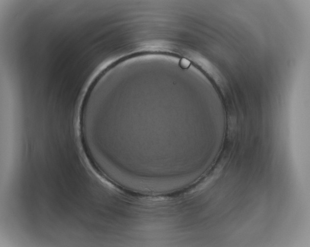 X0000111361331200907311005