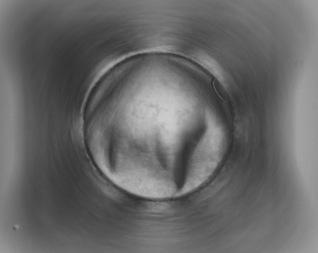 X0000111361332200907311005