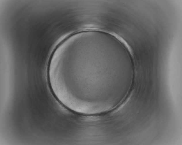 X0000111361333200907311005