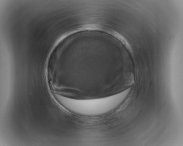 X0000111361334200907311005