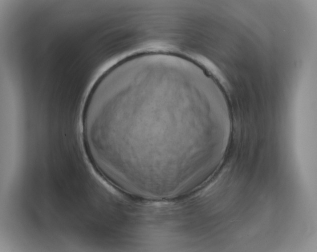 X0000111361335200907311005