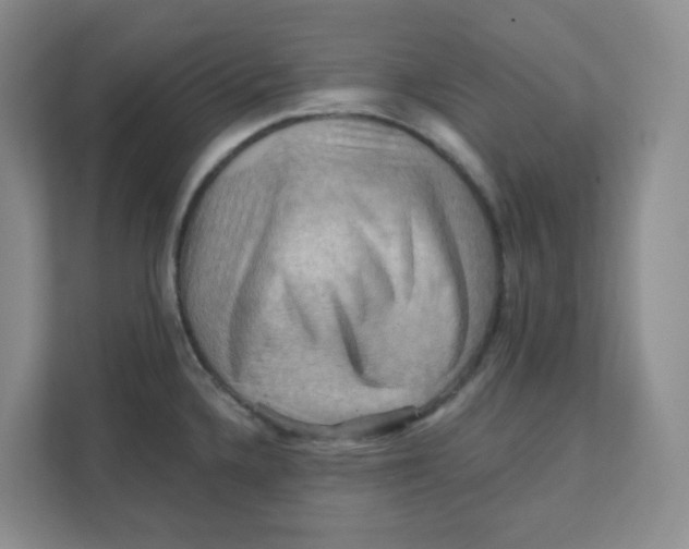 X0000111361336200907311005