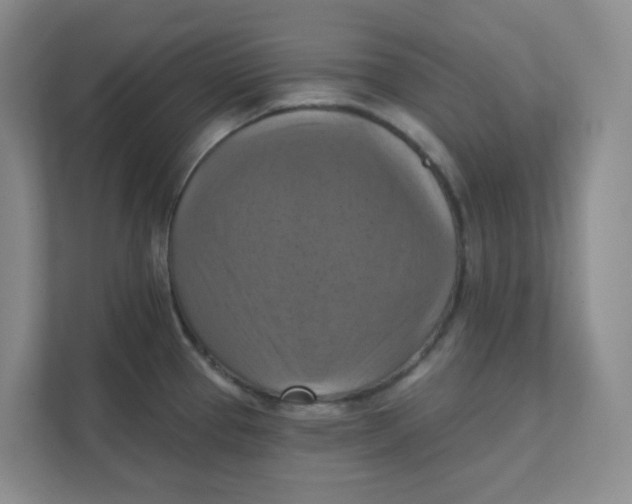 X0000111361337200907311005