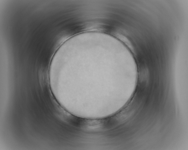X0000111361338200907311005