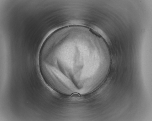 X0000111361339200907311005