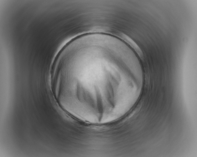 X0000111361340200907311005