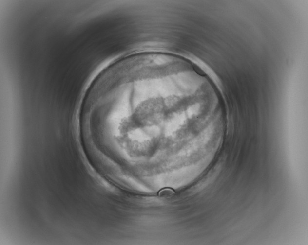X0000111361341200907311005