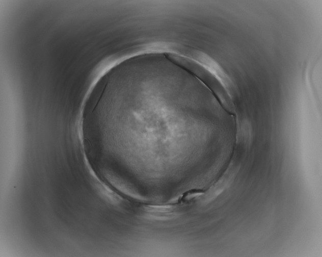 X0000111361342200907311005