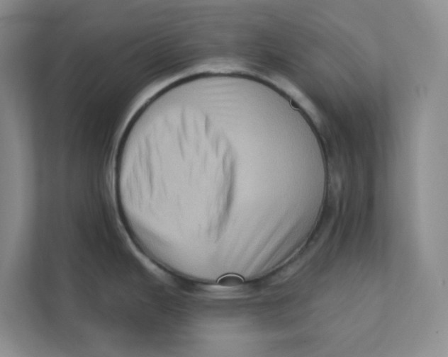 X0000111361343200907311005