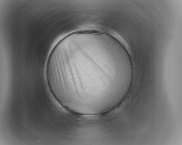 X0000111361344200907311005