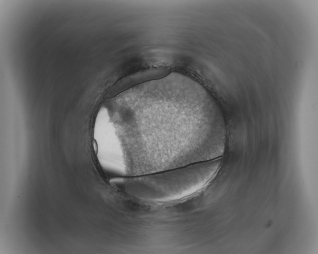 X0000111361345200907311004